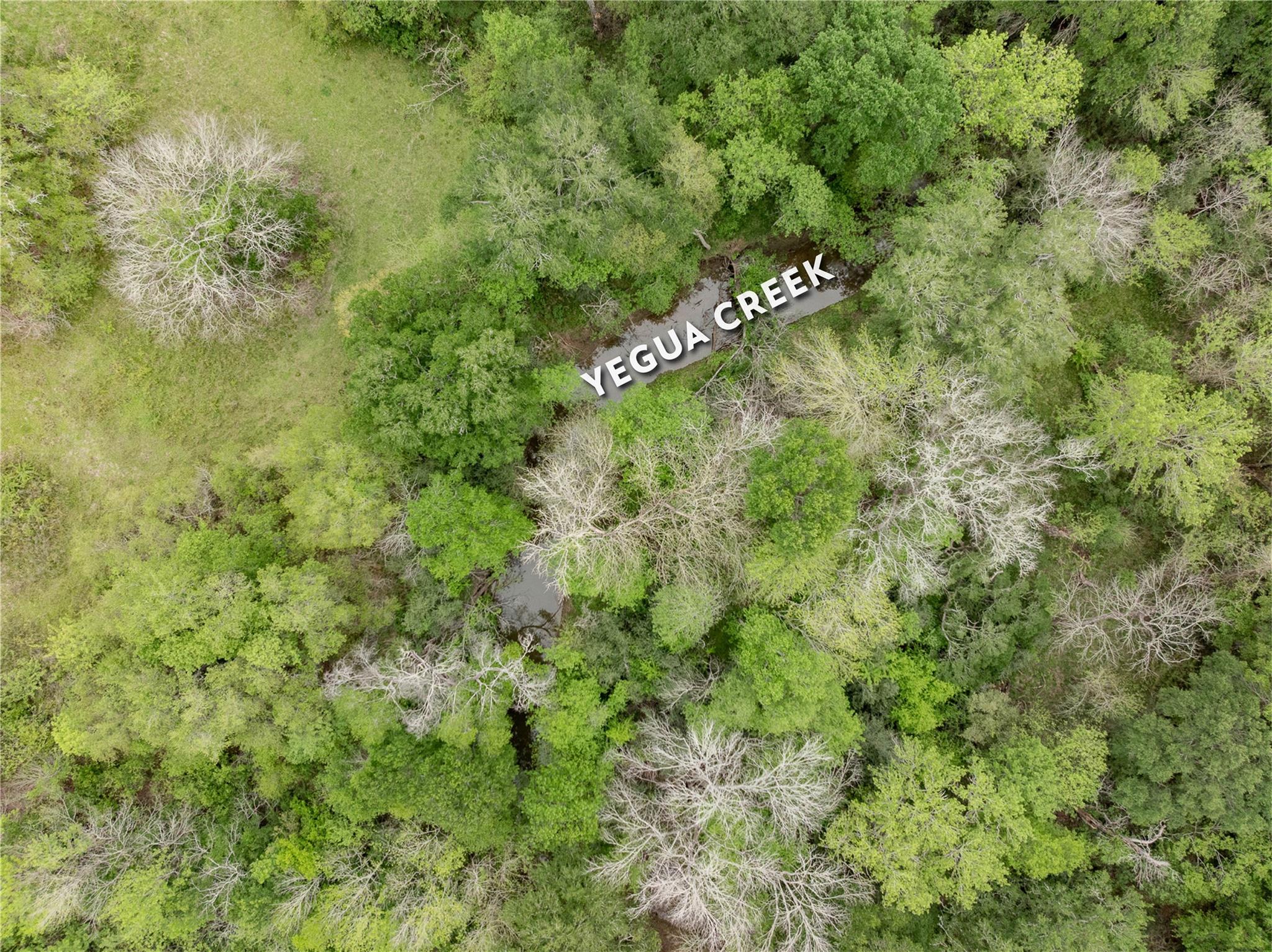 TBD County Road 433 None, Dime Box, TX 77853 — photo 1