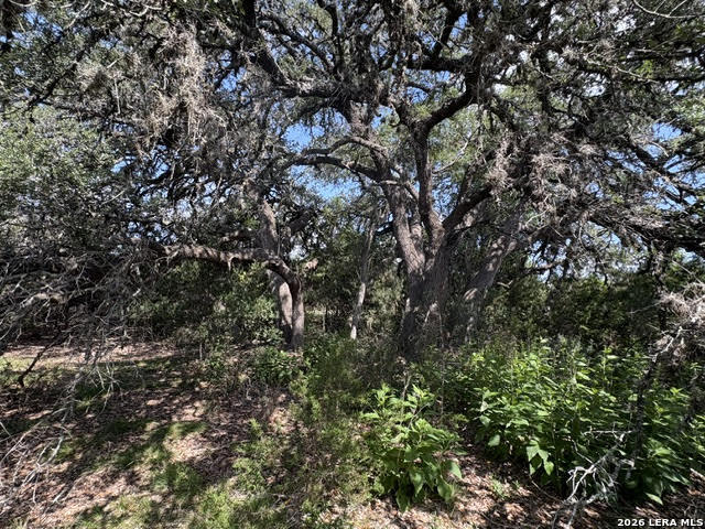 LOT 2025 Split Ridge, Spring Branch, TX 78070 — photo 1