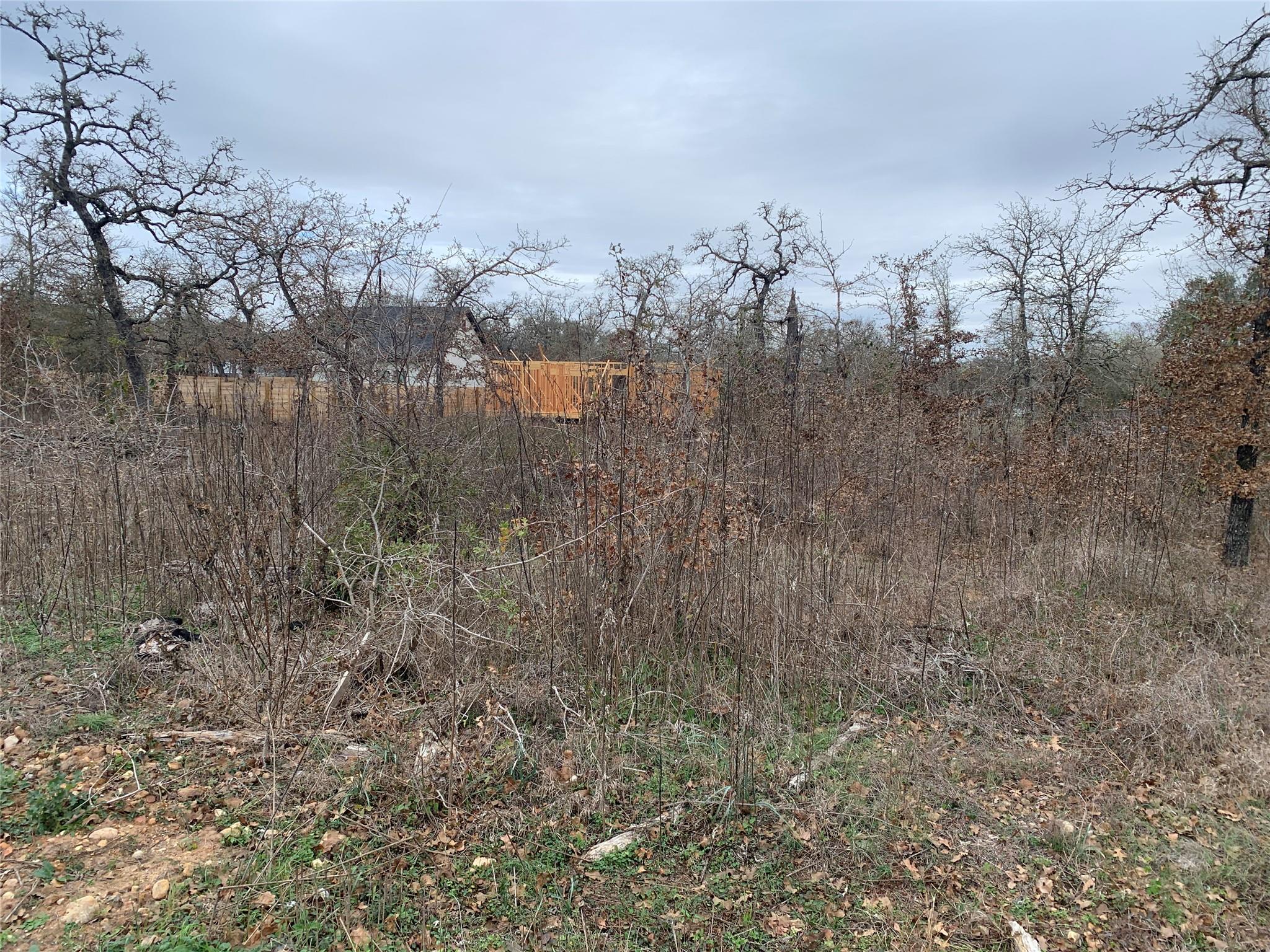 TBD  Chickasaw None, Smithville, TX 78957 — photo 1