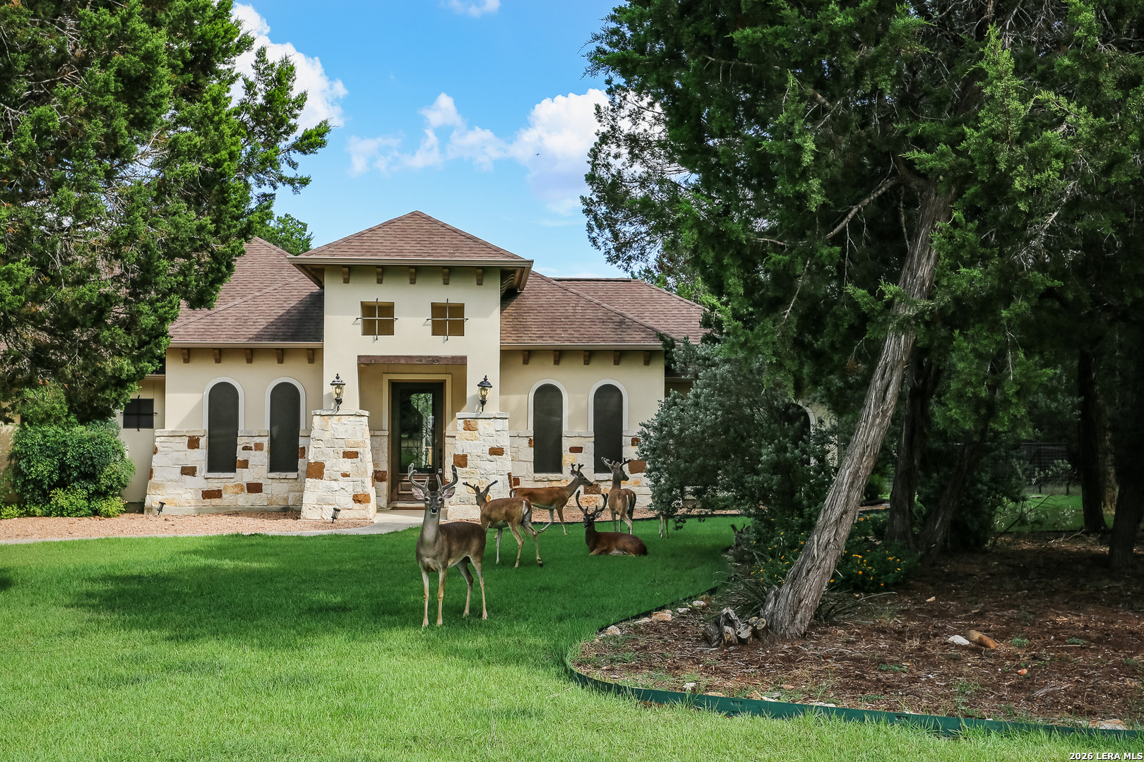 10406 RINDERFARM CT, New Braunfels, TX 78132 — photo 1