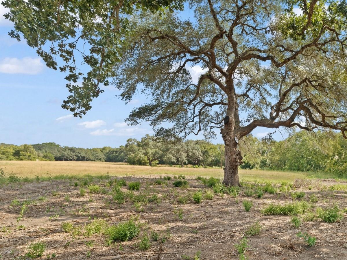 2763  FM 956 None, Schulenburg, TX 78956 — photo 1