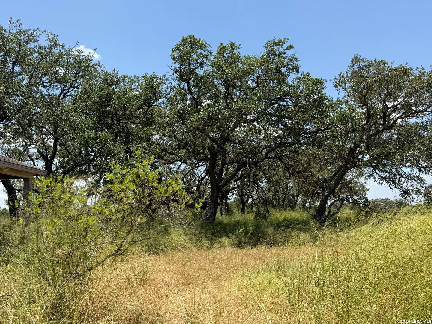 380 County Road 6723, Natalia, TX 78059 — photo 1