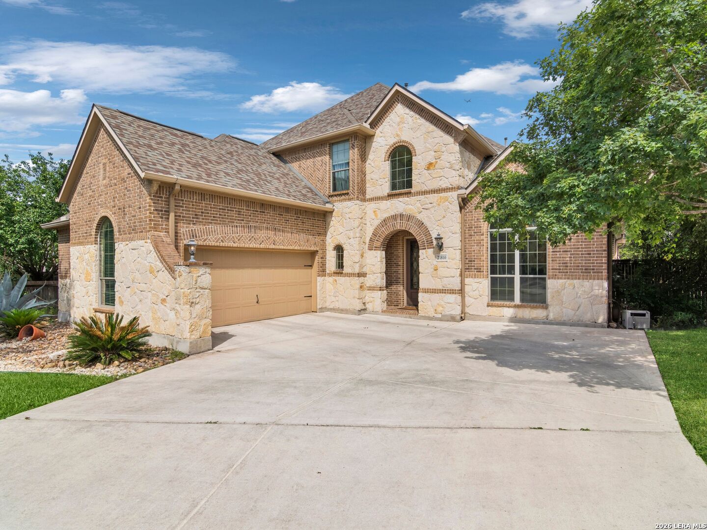 21810 Rugosa Hill, San Antonio, TX 78256 — photo 1