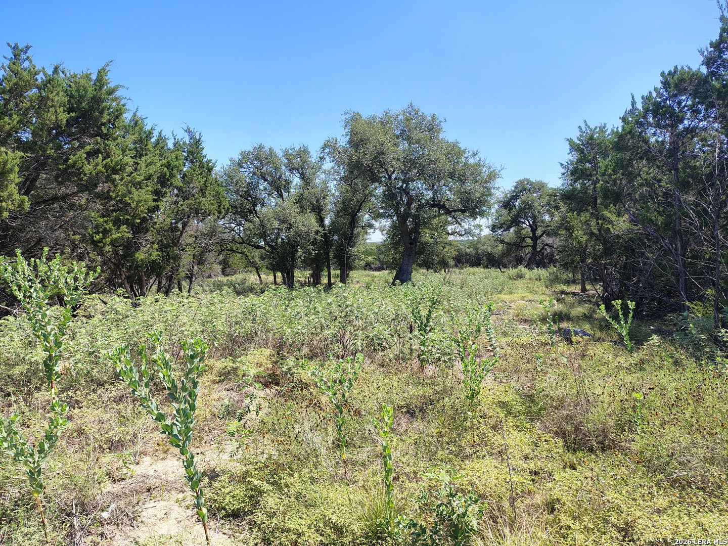 32 Sotol Ln, Boerne, TX 78006 — photo 1