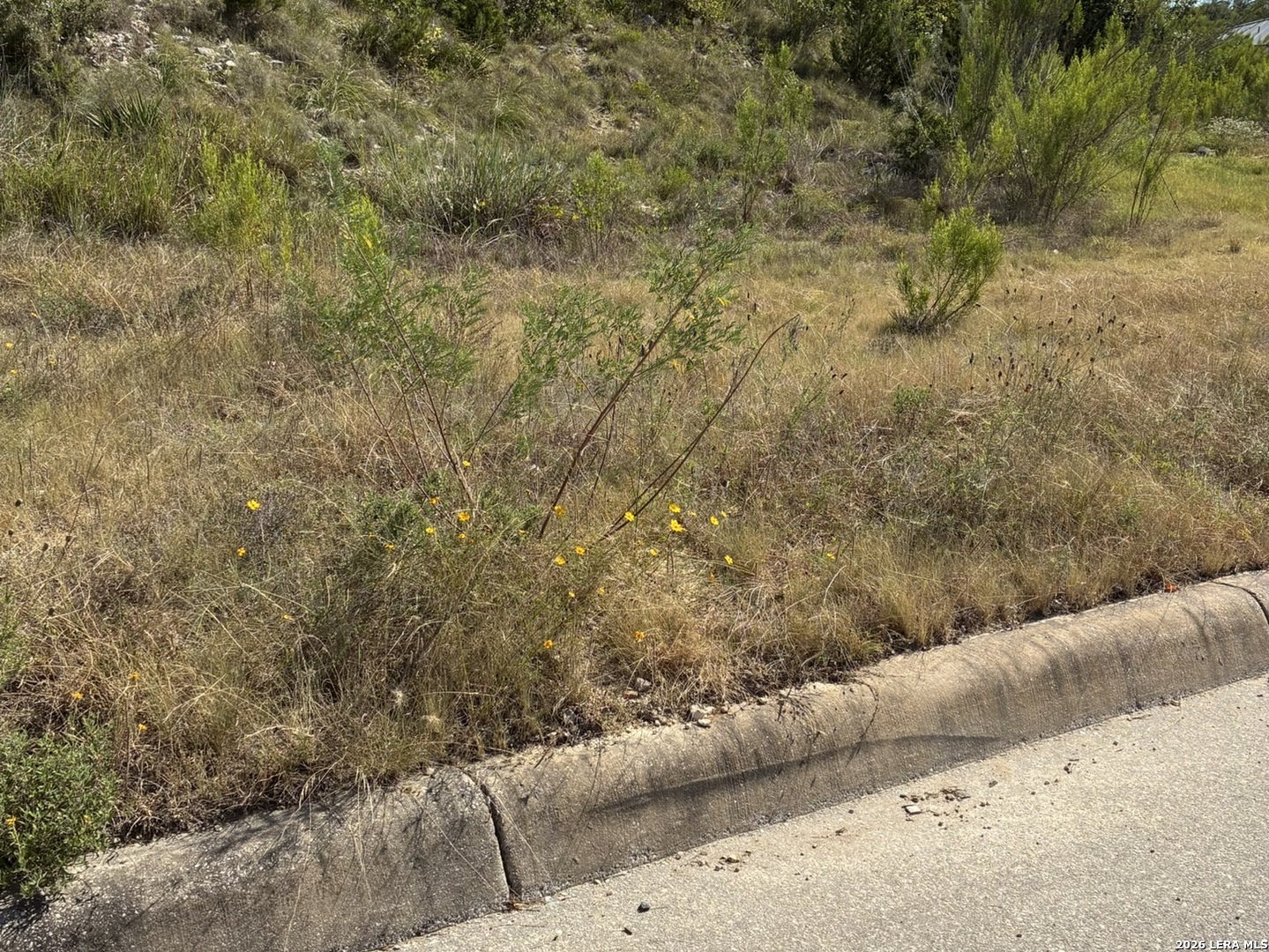 Edens, San Antonio, TX 78255 — photo 1