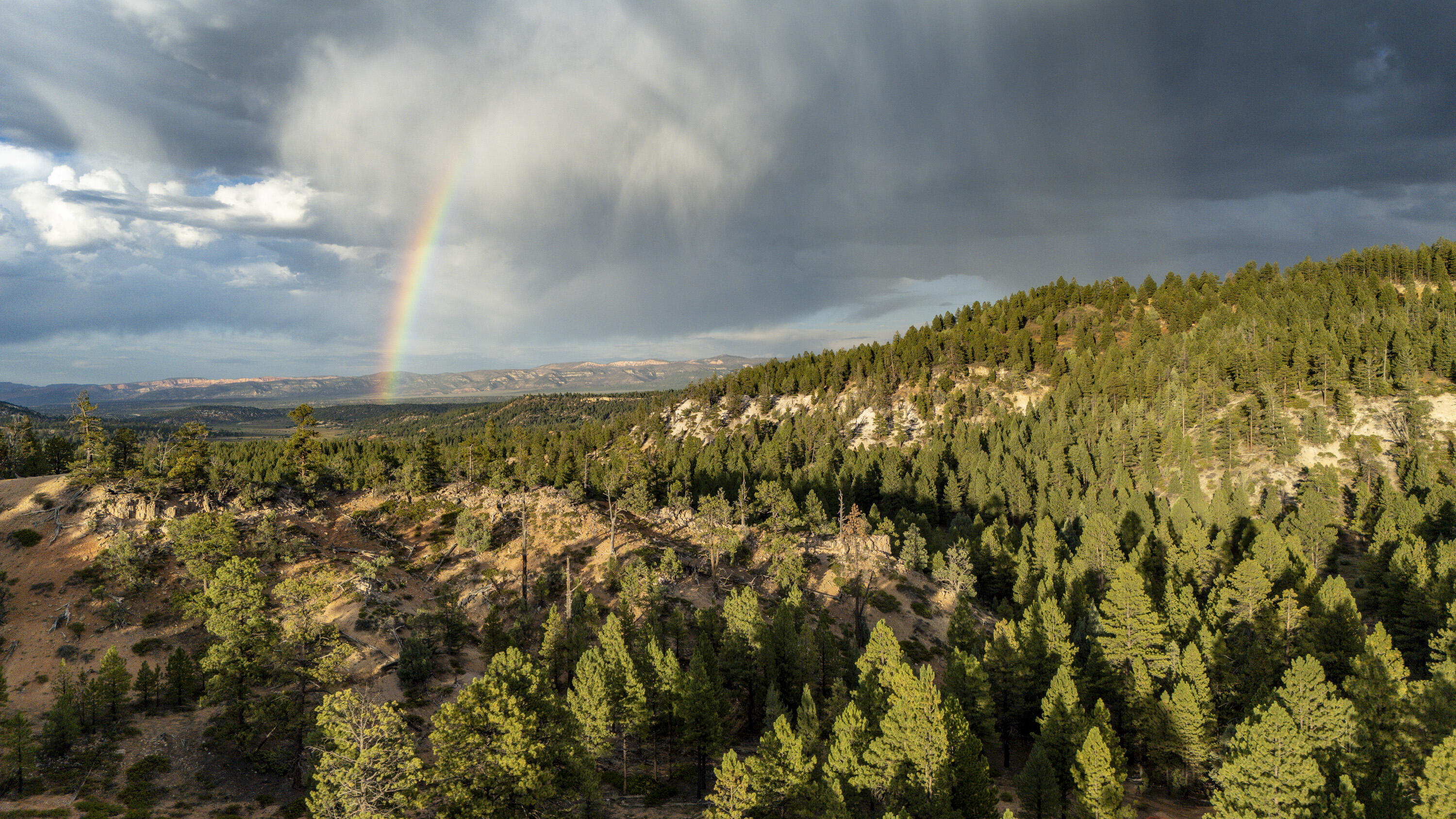 Lot # 11 Elk Ridge Estates Phase 6, Alton, UT 84710 — photo 1