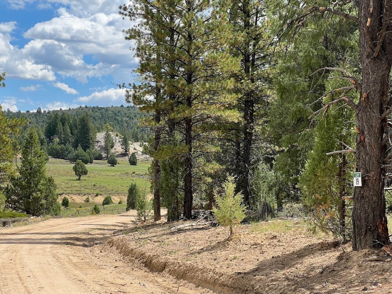 Lot # 19 Elk Ridge Estates Phase 6, Alton, UT 84710