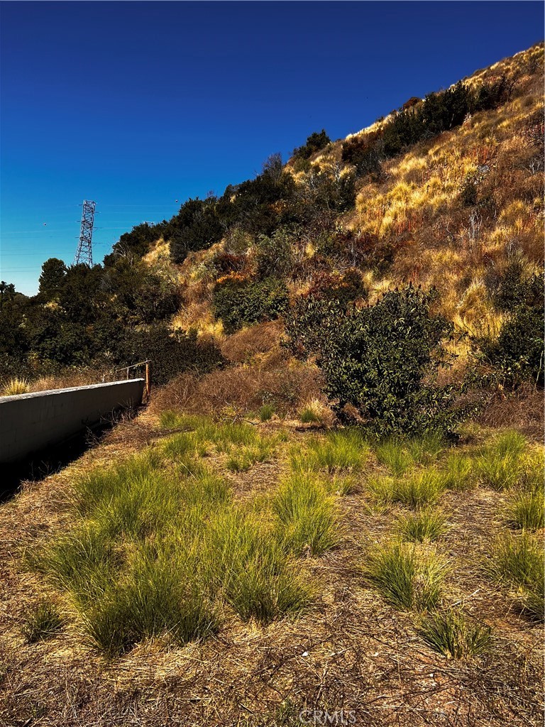 201 Mel Canyon