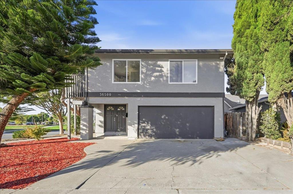 36500 Alder Court, Fremont, CA 94536 — photo 1