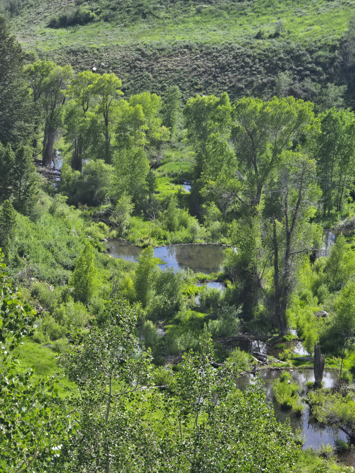 6621 N MIDDLE FORK DR, Huntsville, UT 84317 — photo 1