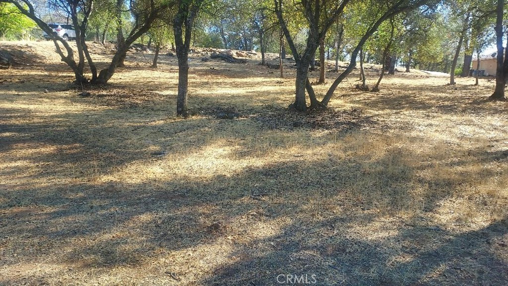 307 Lodgeview Drive, Oroville, CA 95966 — photo 1