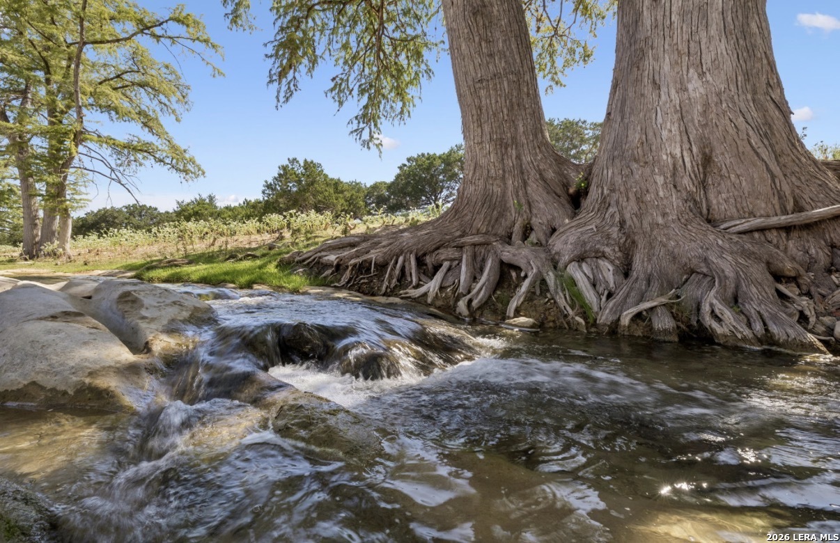 149 BLOODHOUND TRL, Sisterdale, TX 78006 — photo 1