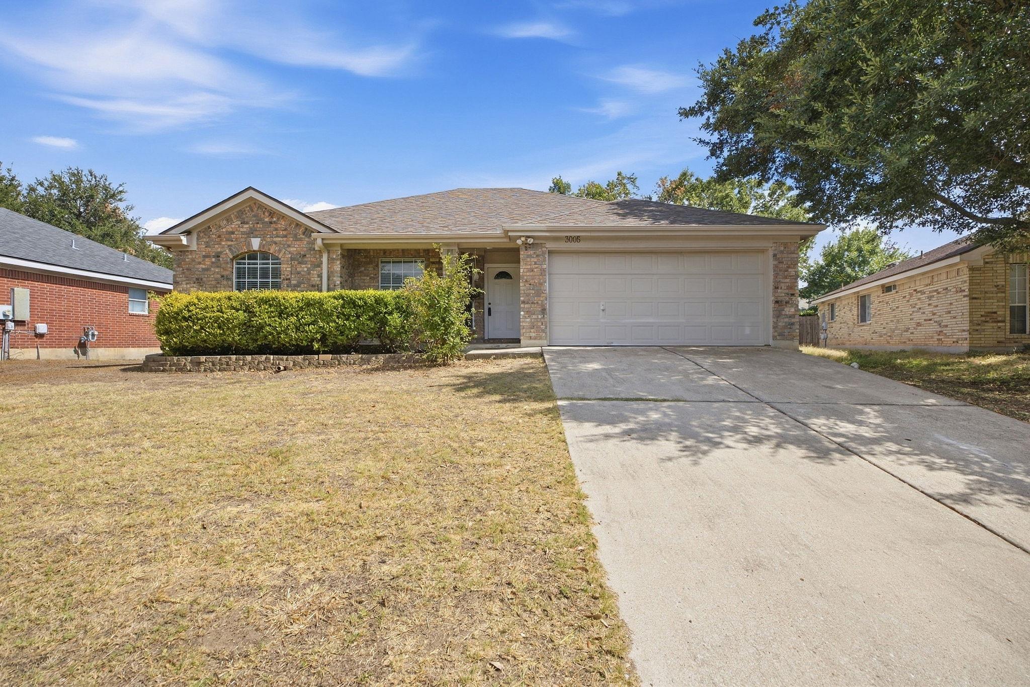 3005  Sugar Berry Cv