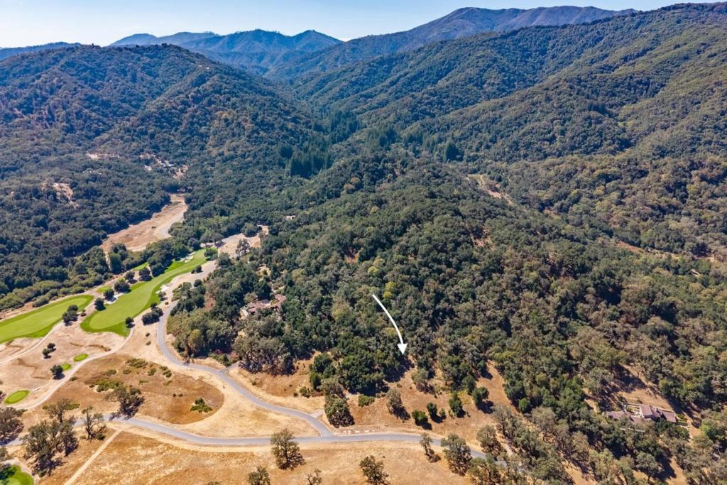 2 Arroyo Sequoia