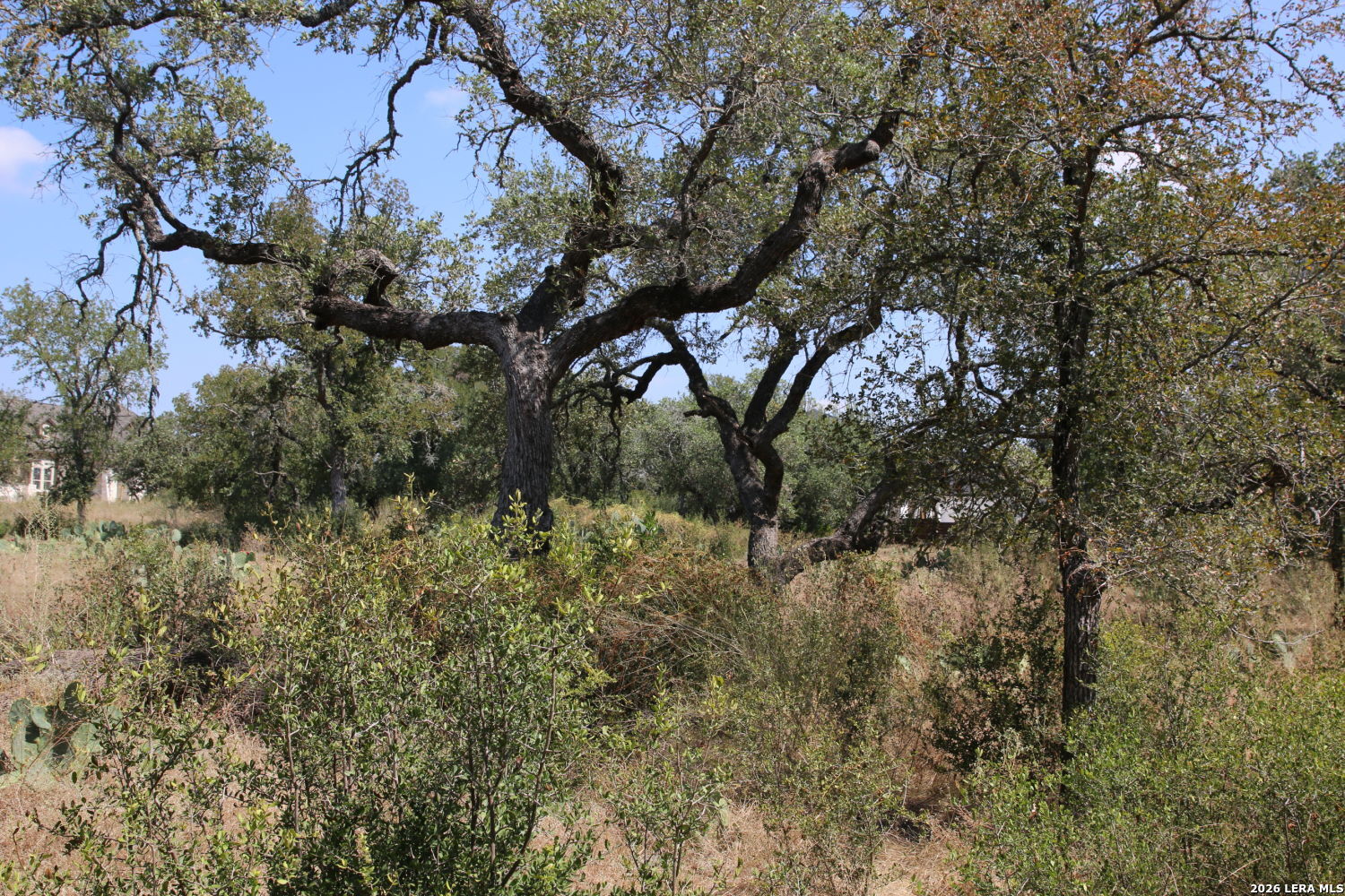 TBD Stone Loop