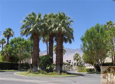 32505 Candlewood Drive 27, Cathedral City, CA 92234 — photo 1