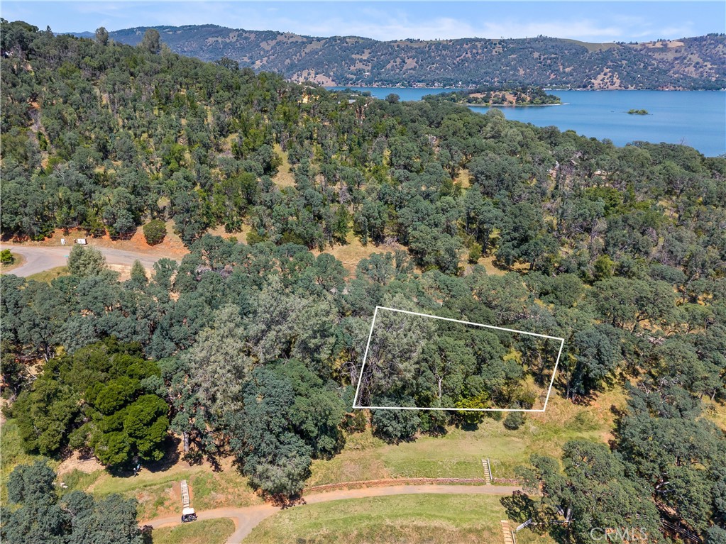 8259 Little Borax Lake Rd