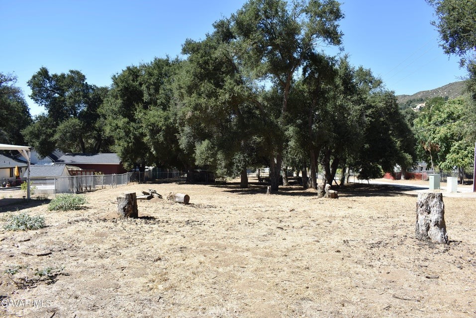 15206 punky Canyon & Calle El Bosque