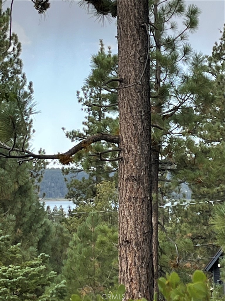 833 Great Spirits, Big Bear Lake, CA 92315 — photo 1