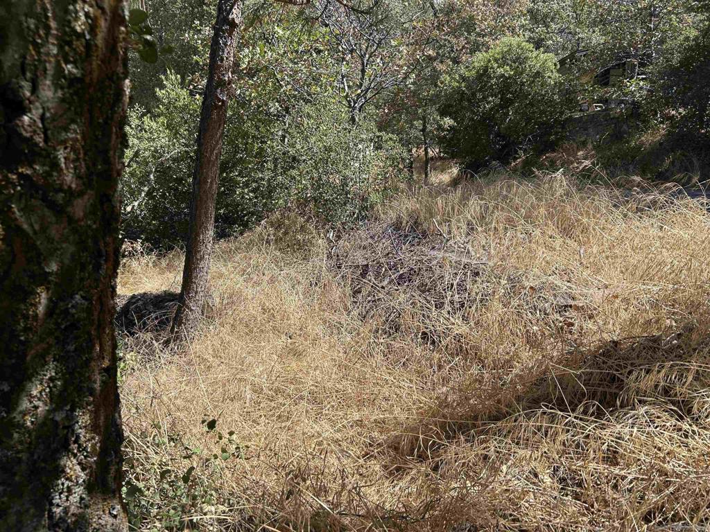 0 Whispering Pines Drive, Julian, CA 92036 — photo 1