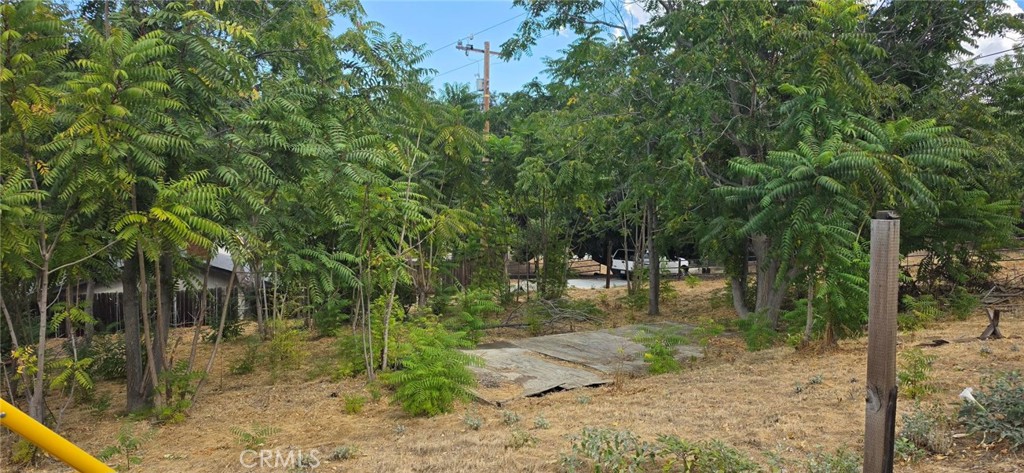 15407 Calle Maleza