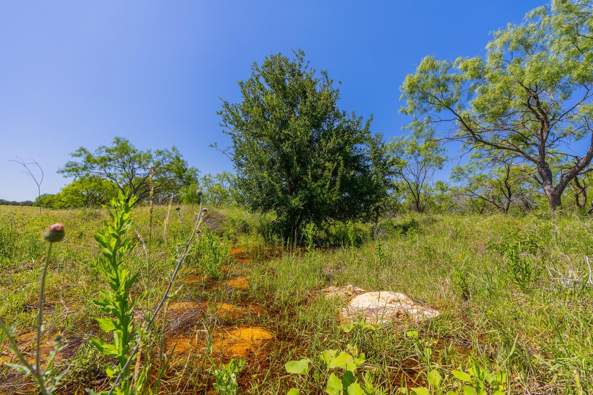 TBD Hidden Pond Ranch  County Road 180 Rd