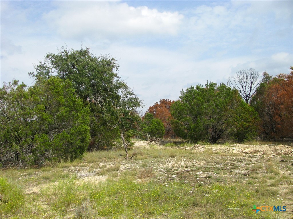 Lot 102 Ph 6 Private Road 42101