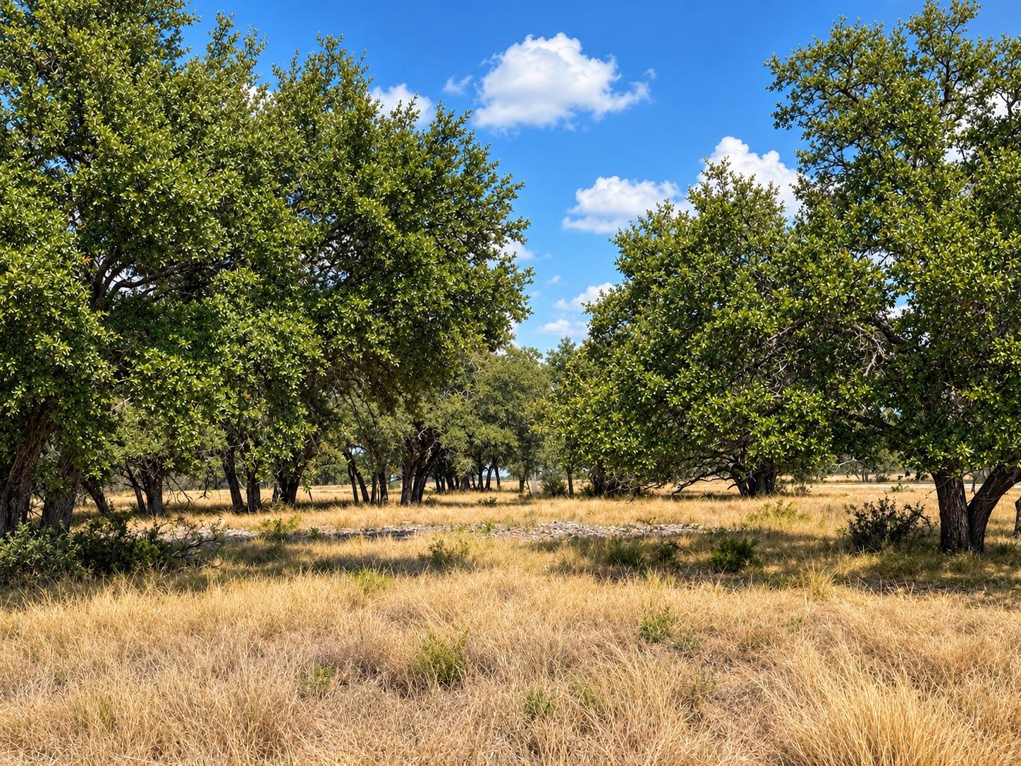 LOT 123  Fallow Drive Dr