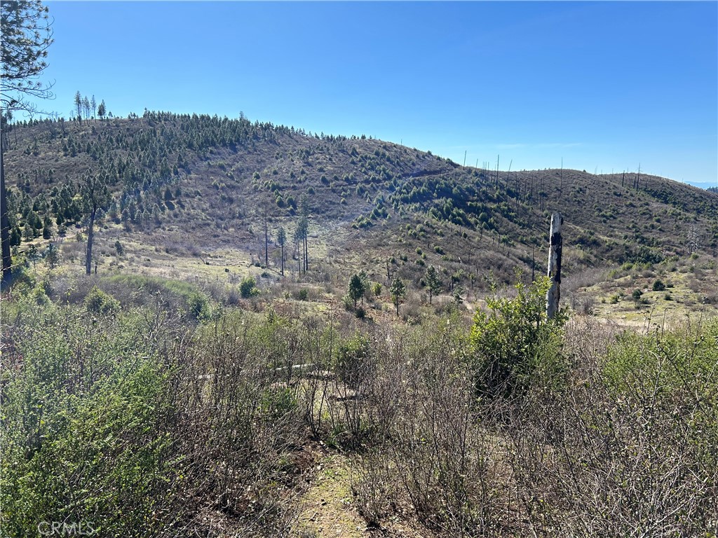 1234 Hog Ranch Rd