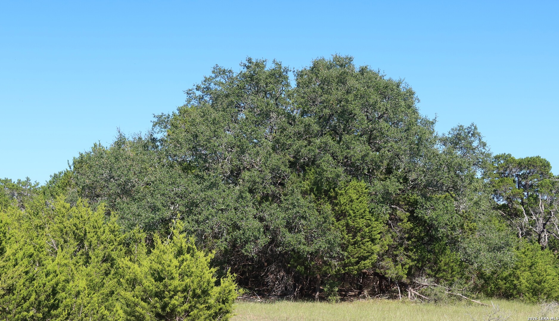 TBD 50 ACRES Wharton Dock Rd, Bandera, TX 78003 — photo 1