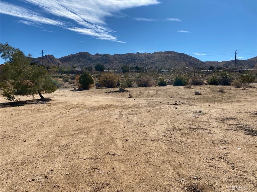 60450 Alta Mesa Drive, Joshua Tree, CA 92252 — photo 1