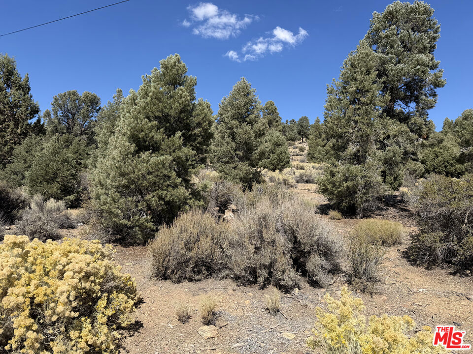 0 Falling Springs Road