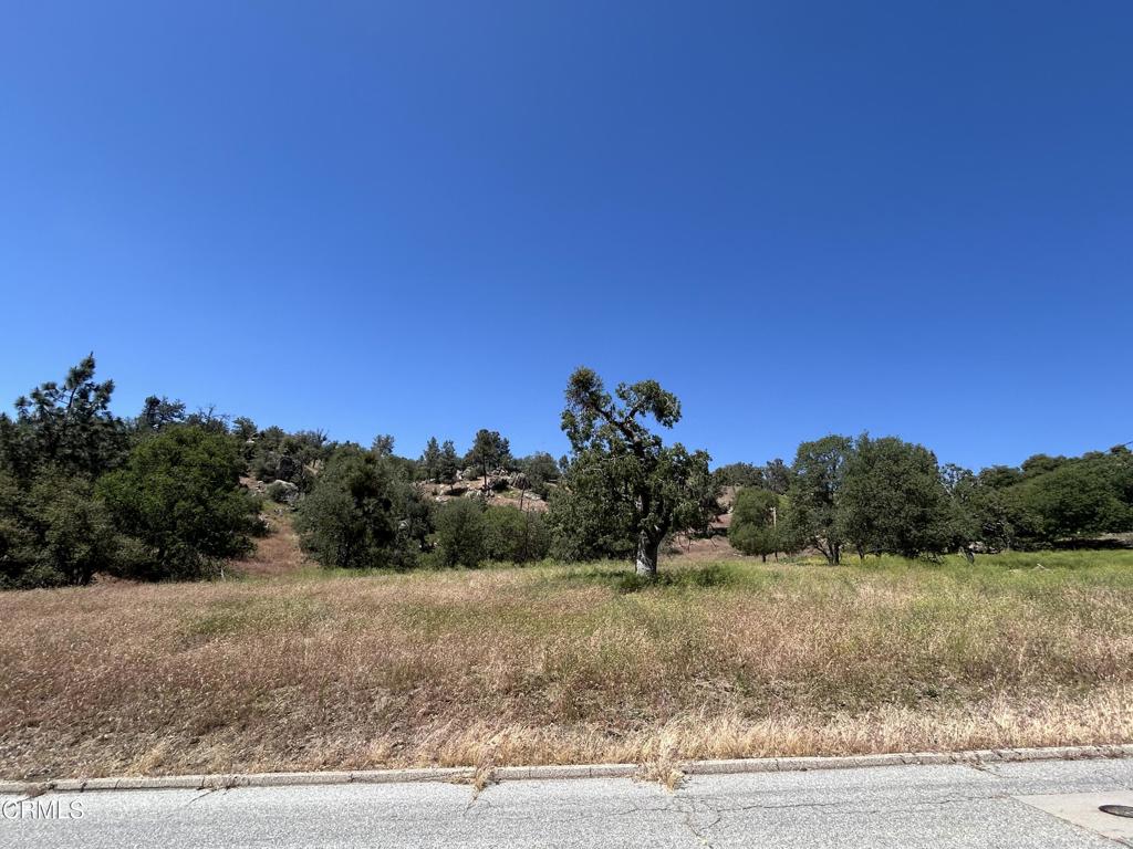 0 Jacks Hill Road