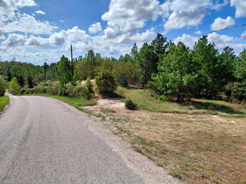 Lot 3  Tall Forest Dr