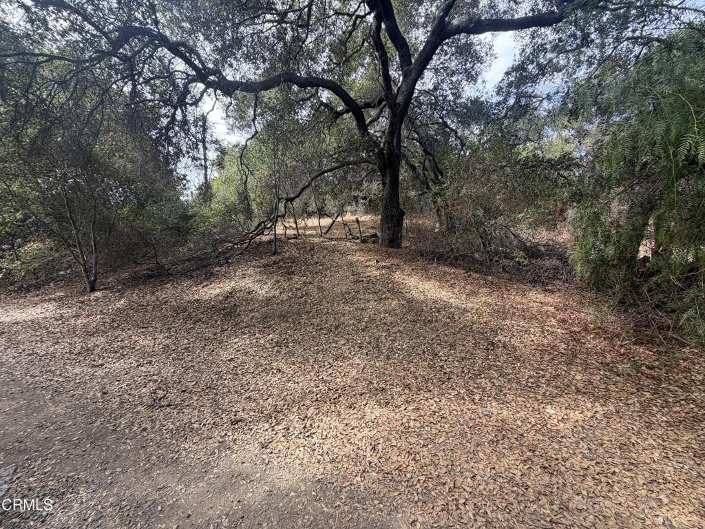 0 APN #0310070240, Oak View, CA 93022 — photo 1