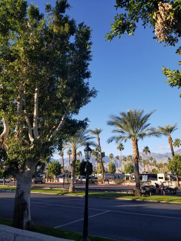 69411 Ramon Road 591