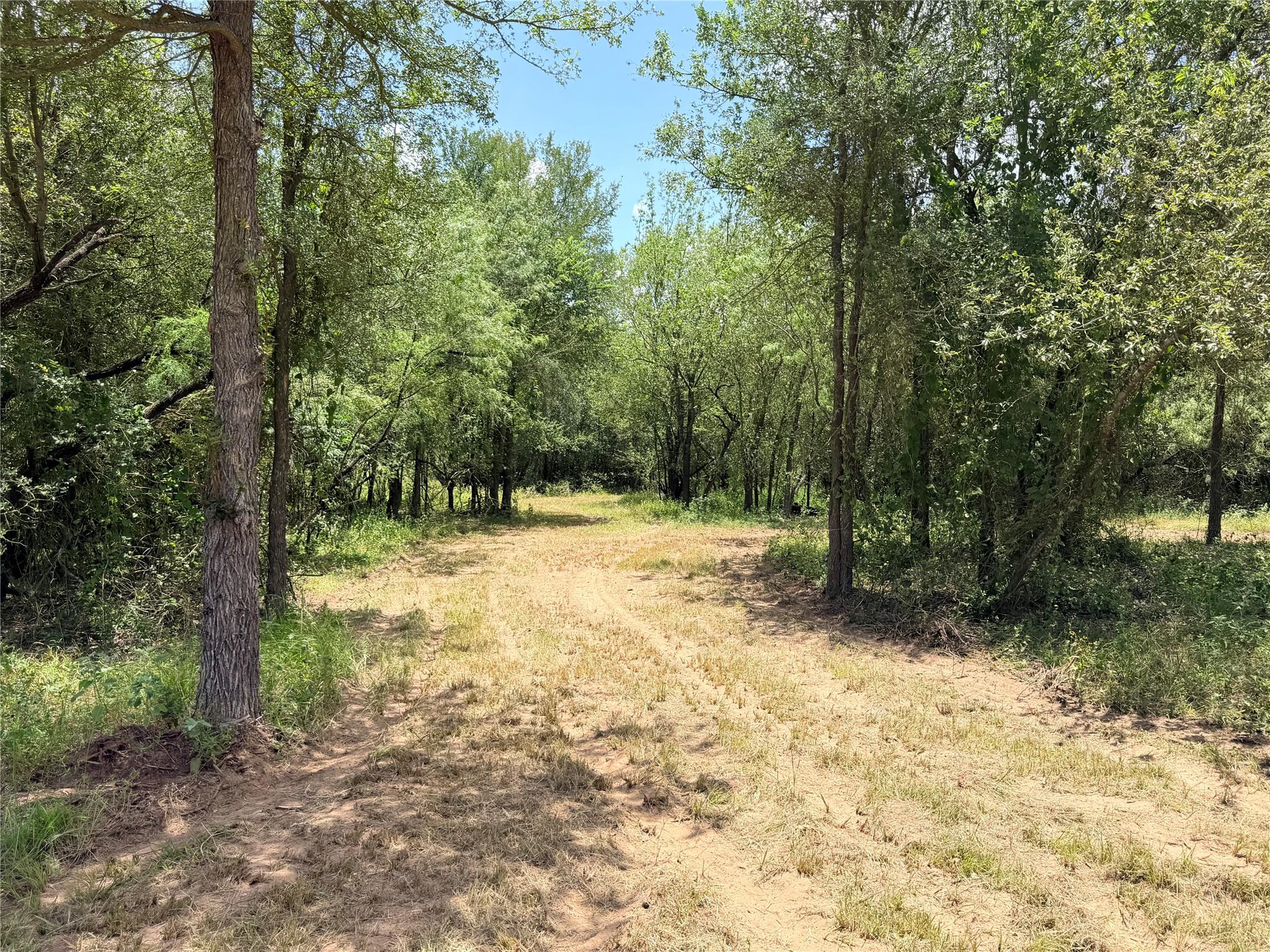 TBD Tracts - 4,5,6,7  FM 86 Hwy