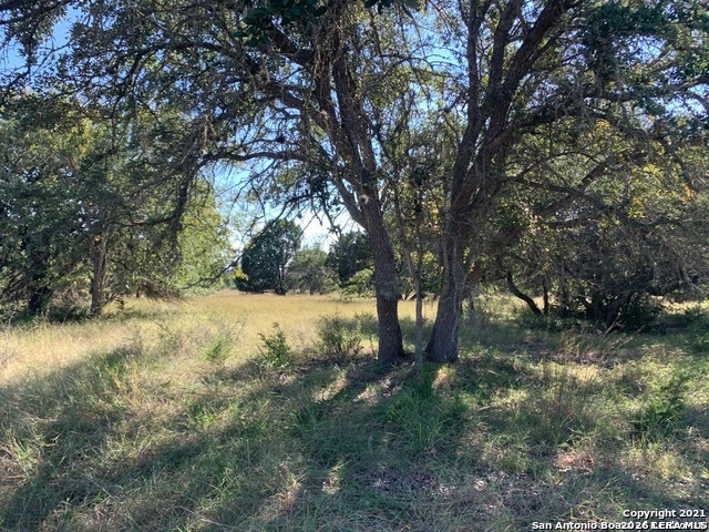 LOT 21 River Ranch