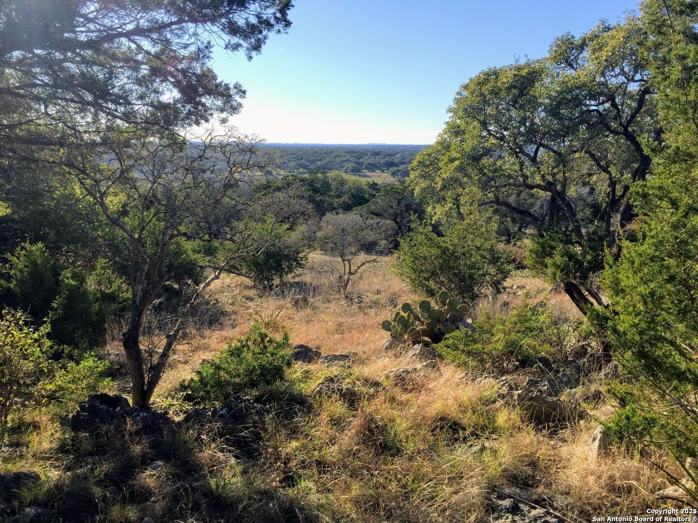 449 Coyote Trail