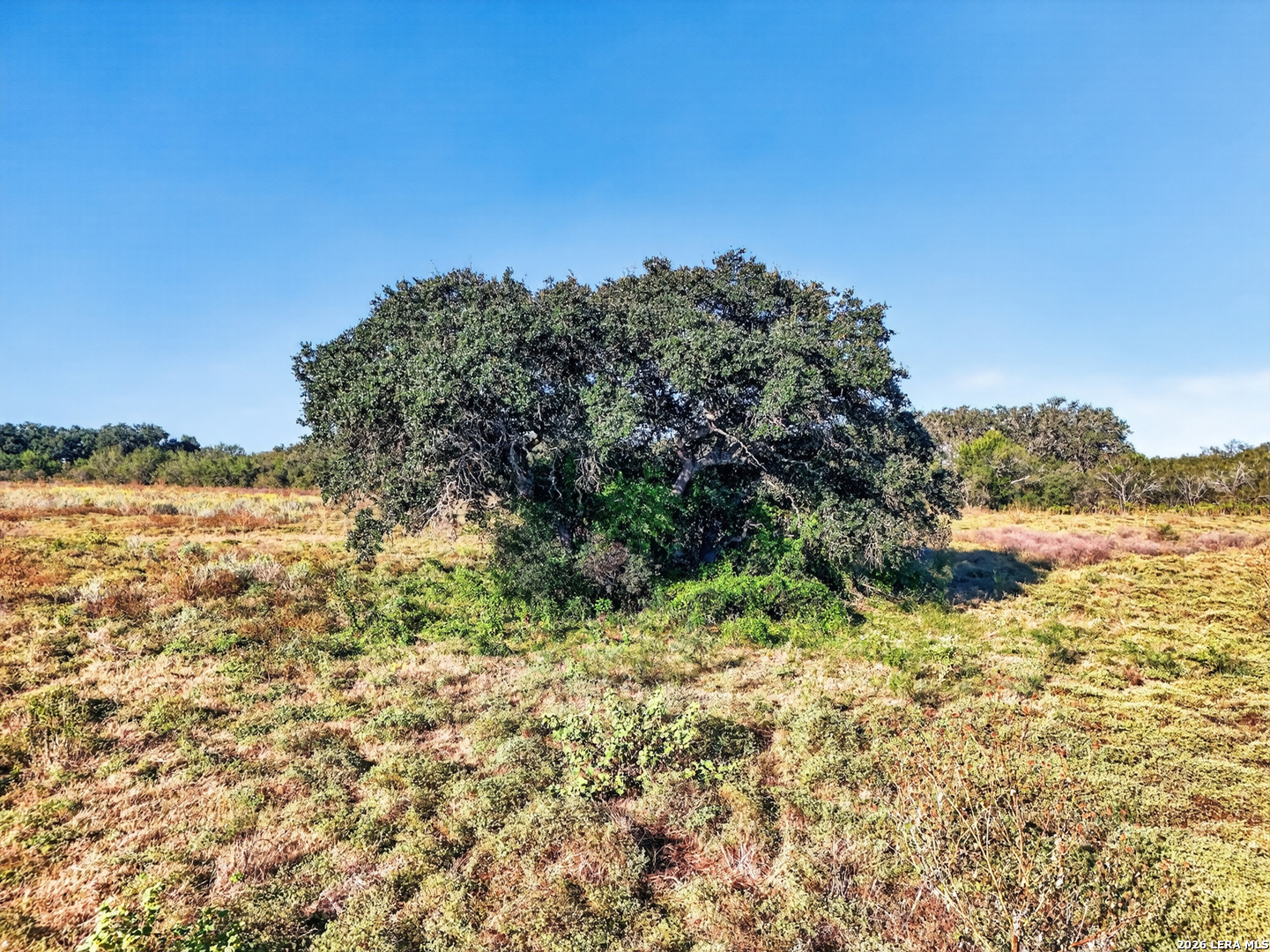 LOT 134 FM 1796