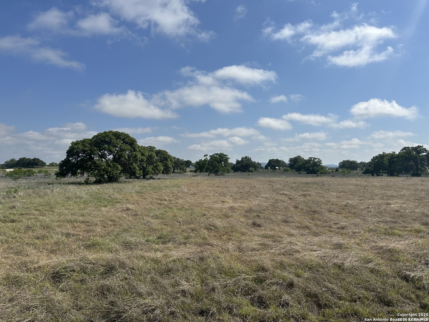 181 Salt Grass Trl