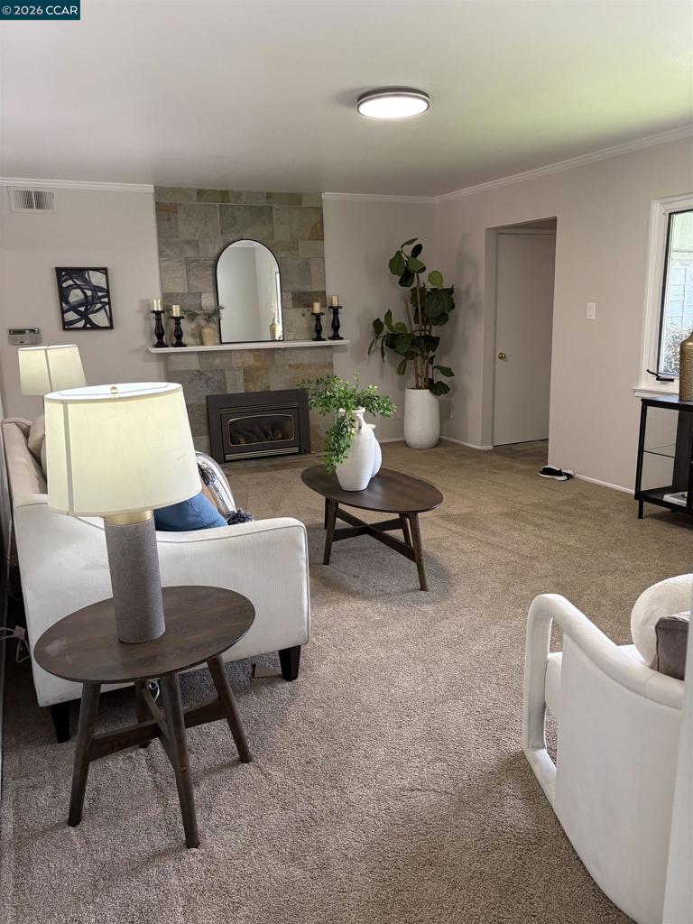 3217 Mount Court