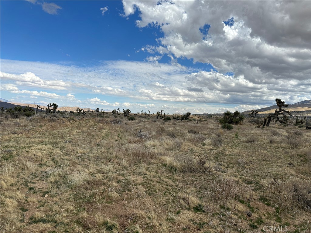 0 Horizon