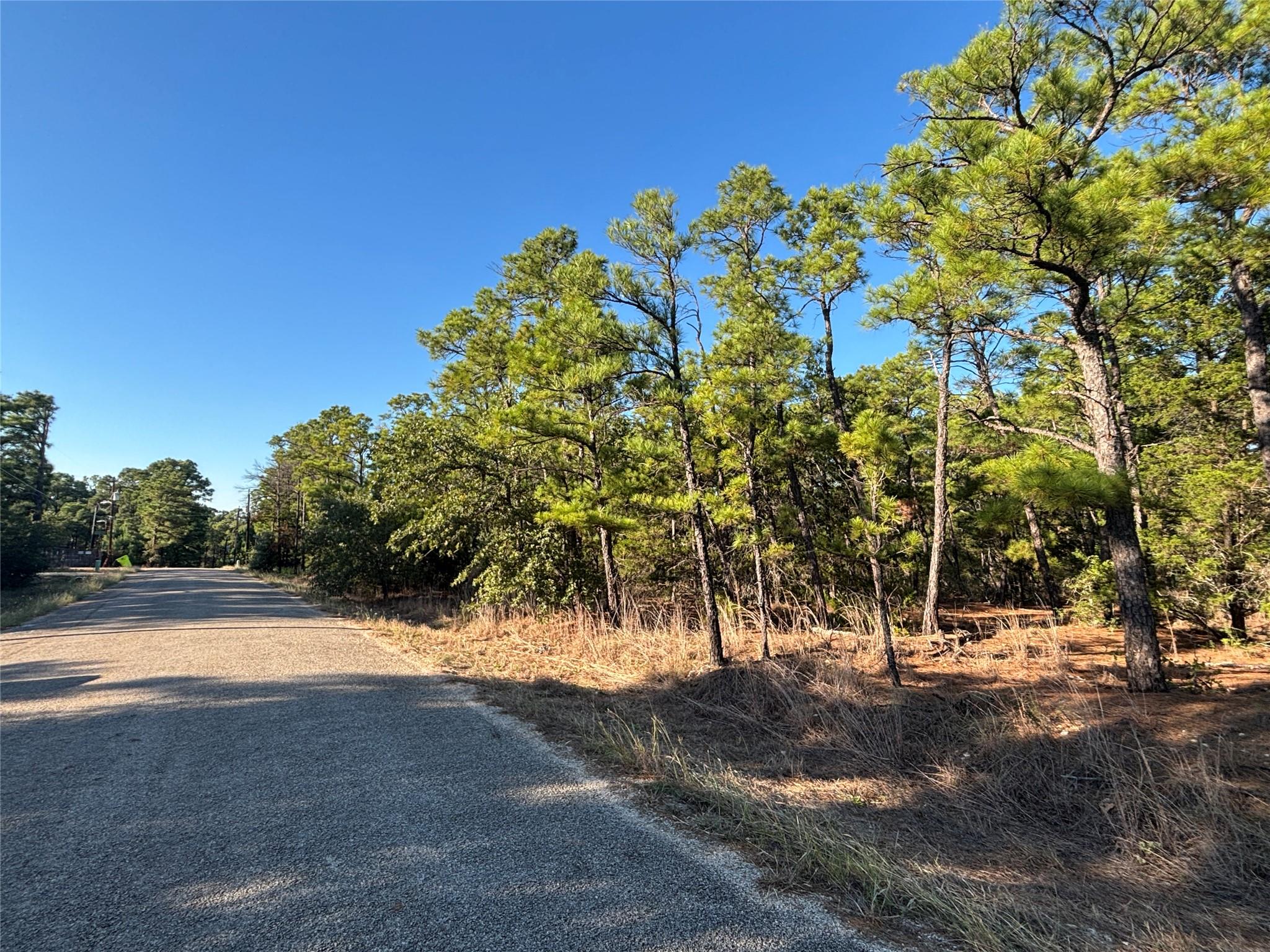 TBD  Pine Cone Dr