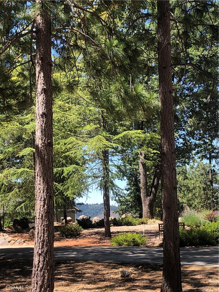 8833 Fox Drive, Cobb, CA 95426 — photo 1