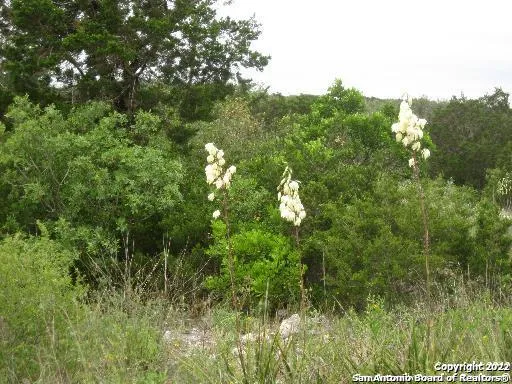 35 Cr 2731, Mico, TX 78056 — photo 1
