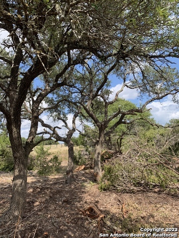 1916 Split Mtn, Canyon Lake, TX 78133 — photo 1