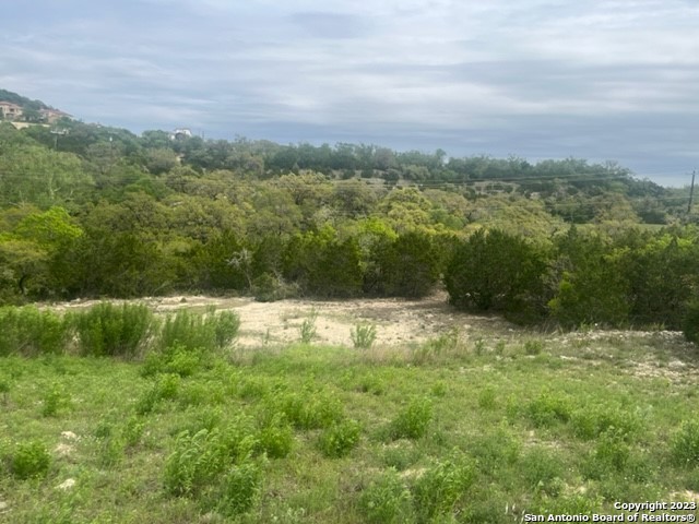 10006 Ivory Canyon, San Antonio, TX 78255 — photo 1