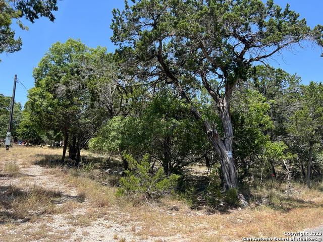 619 CACTUS FLOWER, Canyon Lake, TX 78133 — photo 1