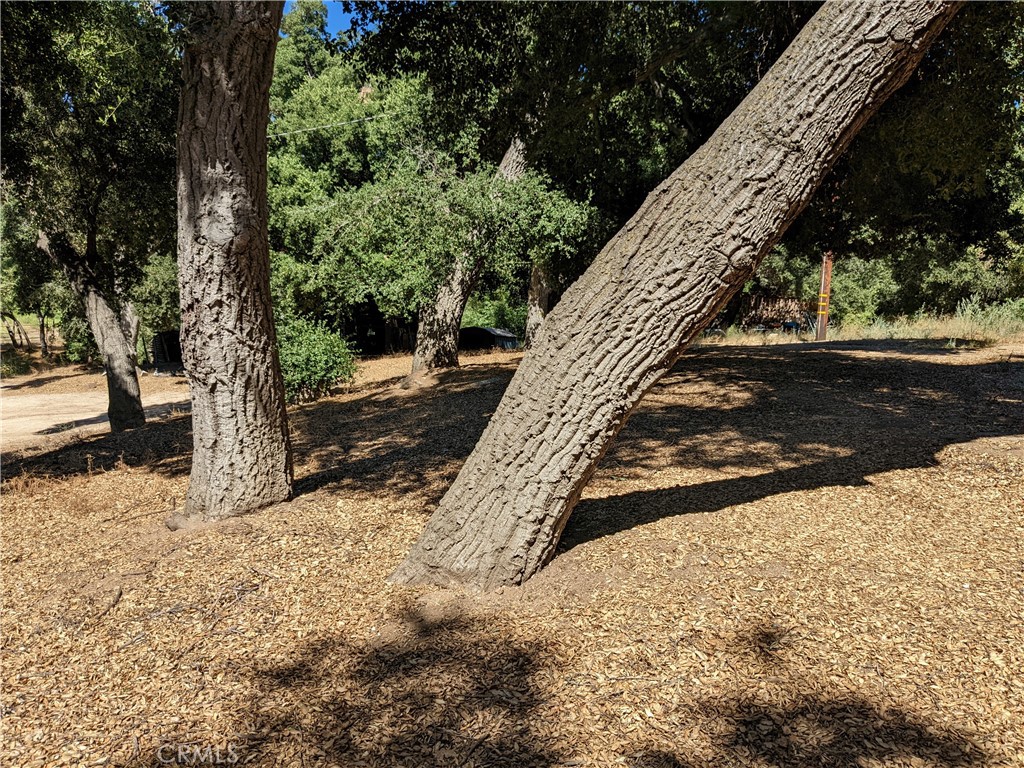 0 San Francisquito Cyn rd, Green Valley, CA 91350 — photo 1